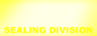 Masonry & Slate Sealing division
